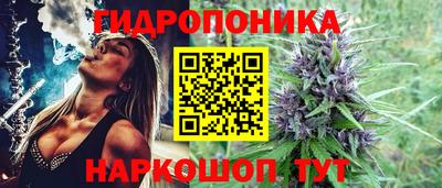 хмурый Новозыбков