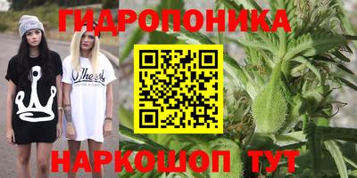 скорость Нягань